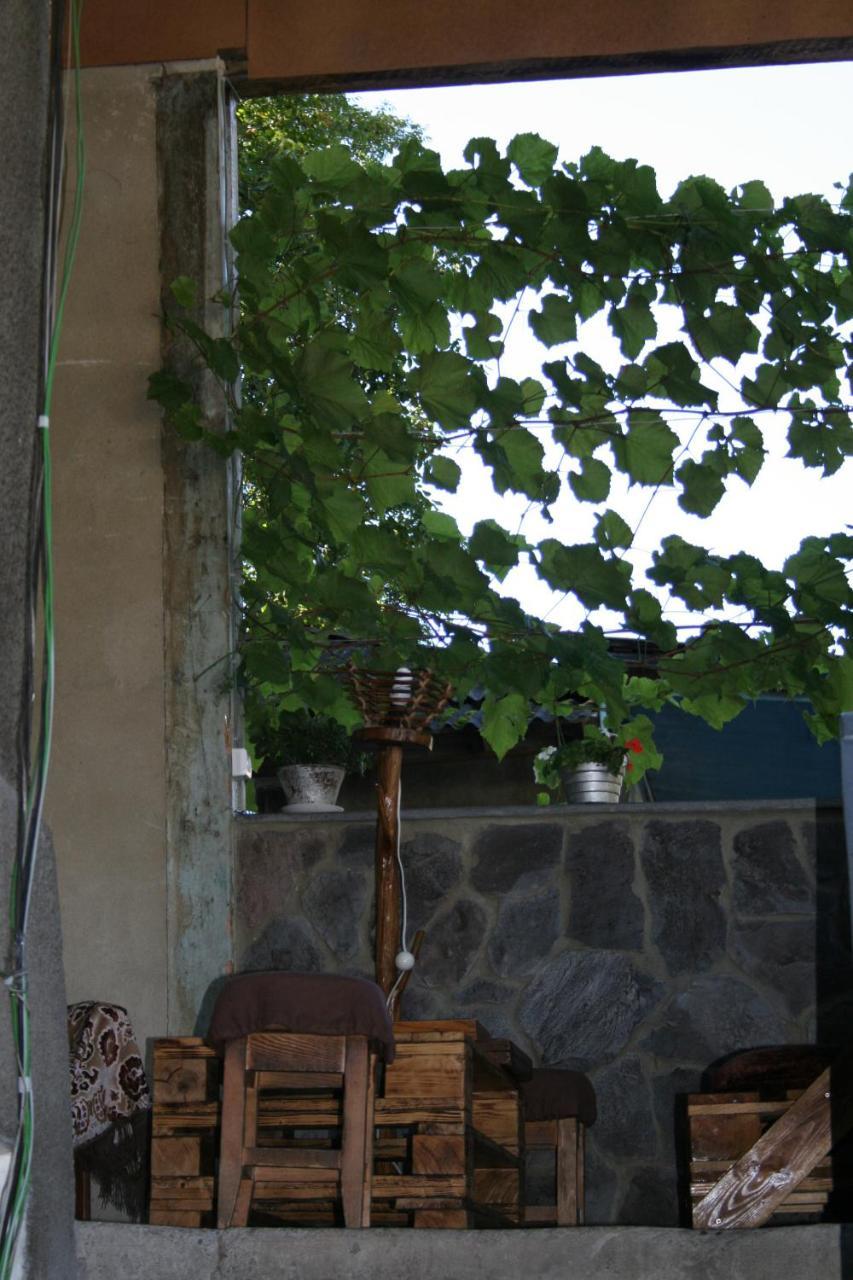 Guest House Nima Borjomi ภายนอก รูปภาพ