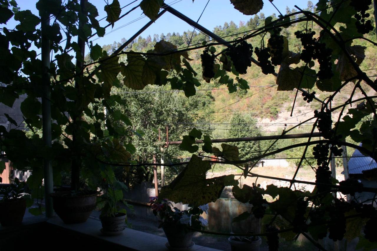 Guest House Nima Borjomi ภายนอก รูปภาพ